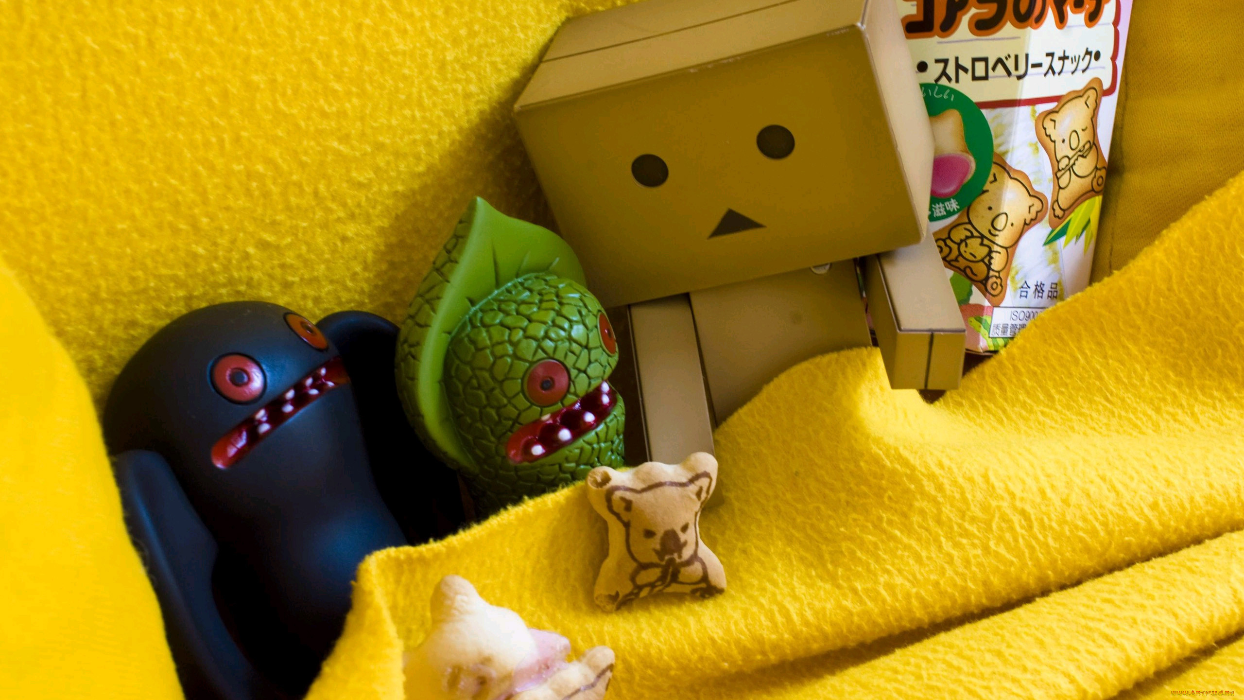 , , danboard, 